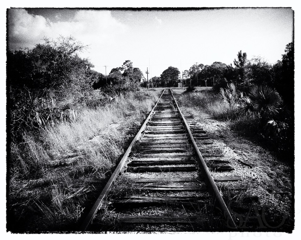 Black and white Railroad tracks in florida